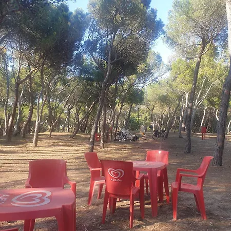 Campsite Agricampeggio La Pineta
