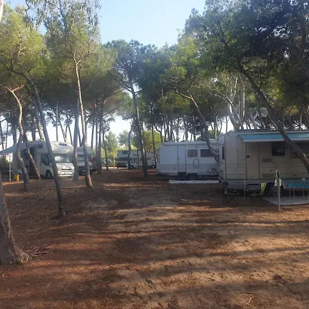 Agricampeggio La Pineta