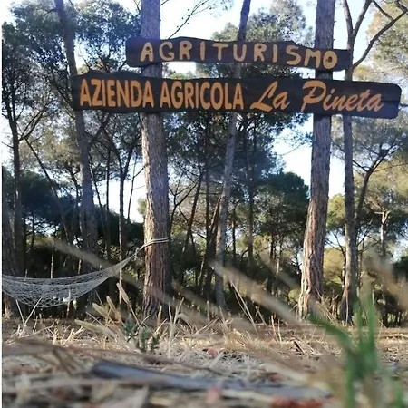 Agricampeggio La Pineta Lesina