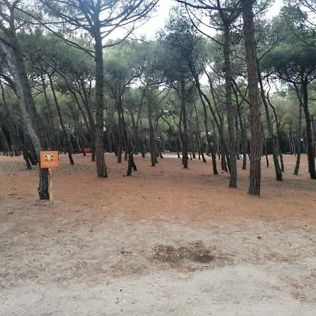 Agricampeggio La Pineta Campsite *