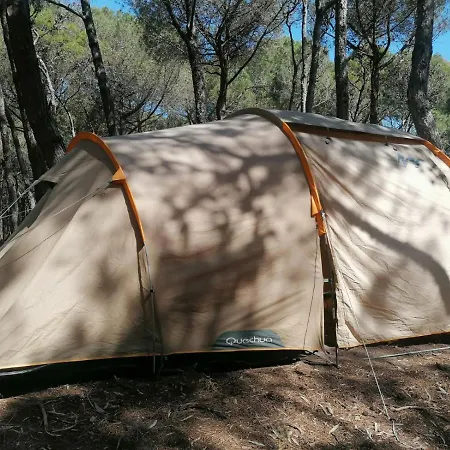 Agricampeggio La Pineta * לזינה
