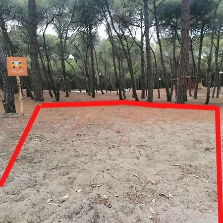 Agricampeggio La Pineta Campsite