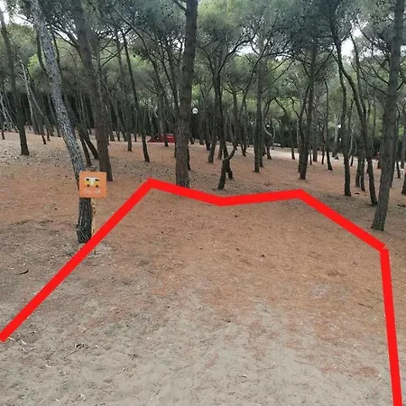 Agricampeggio La Pineta *