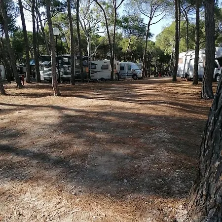 Agricampeggio La Pineta Campsite