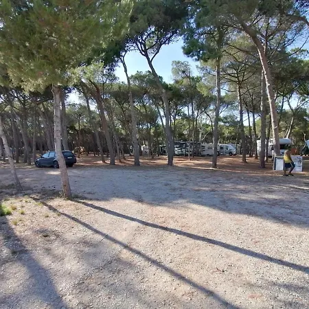 Campsite Agricampeggio La Pineta