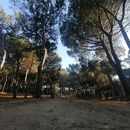 Agricampeggio La Pineta Campsite