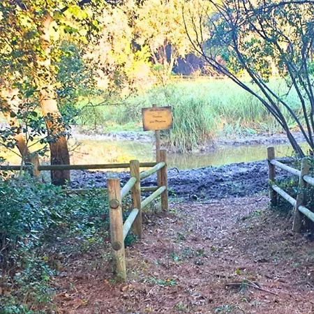 Campsite Agricampeggio La Pineta *