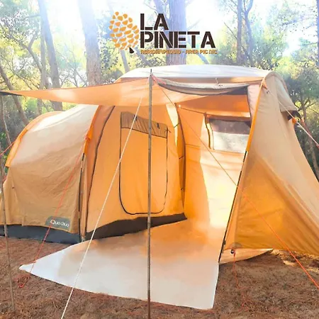 Agricampeggio La Pineta Campsite *