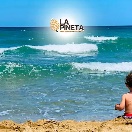 Agricampeggio La Pineta Campsite Lesina