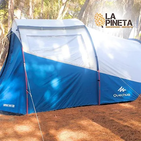 Agricampeggio La Pineta Campsite