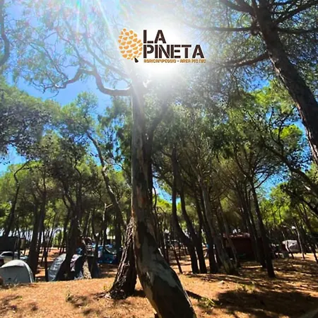 Agricampeggio La Pineta Campsite Lesina